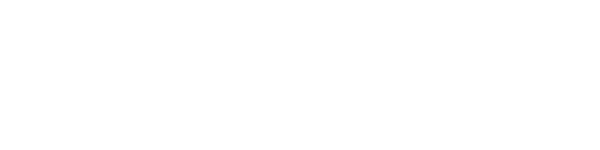 Legal Career